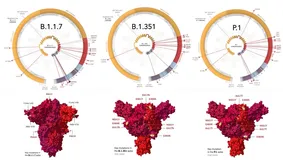 iDASH2021隐私计算大赛——摩斯夺冠揭秘