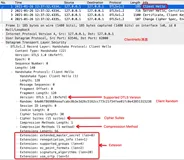 WebRTC DTLS | 使用自定义扩展传递信息